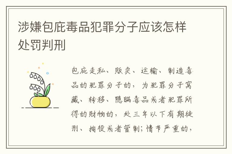 涉嫌包庇毒品犯罪分子应该怎样处罚判刑