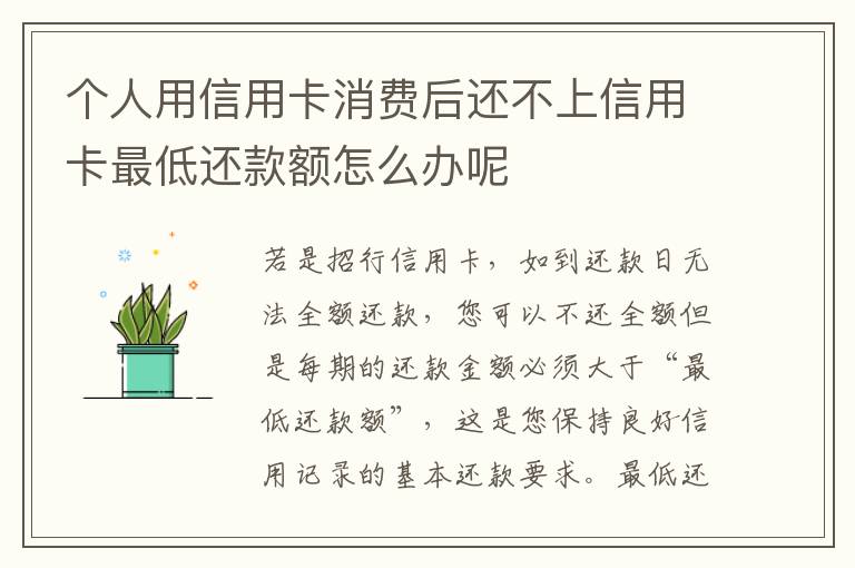 个人用信用卡消费后还不上信用卡最低还款额怎么办呢