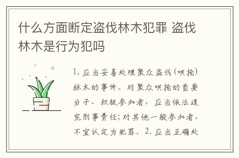 什么方面断定盗伐林木犯罪 盗伐林木是行为犯吗