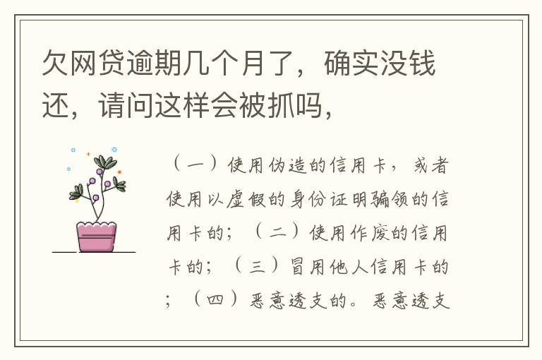 欠网贷逾期几个月了，确实没钱还，请问这样会被抓吗，