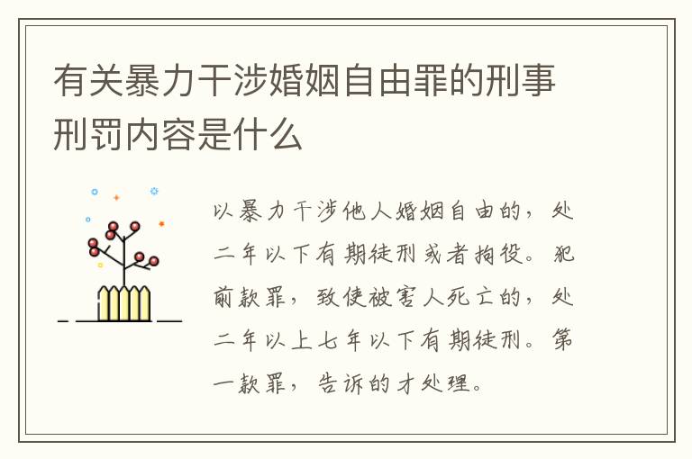 有关暴力干涉婚姻自由罪的刑事刑罚内容是什么