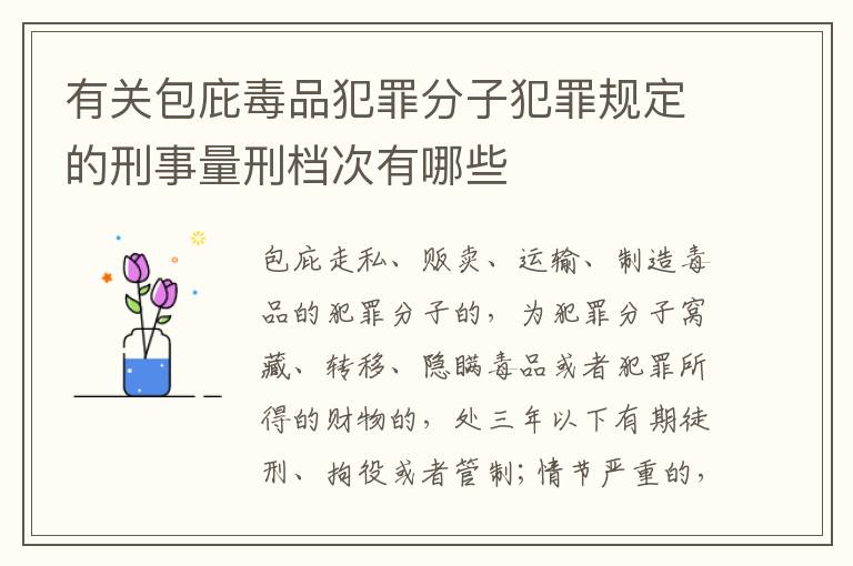 有关包庇毒品犯罪分子犯罪规定的刑事量刑档次有哪些