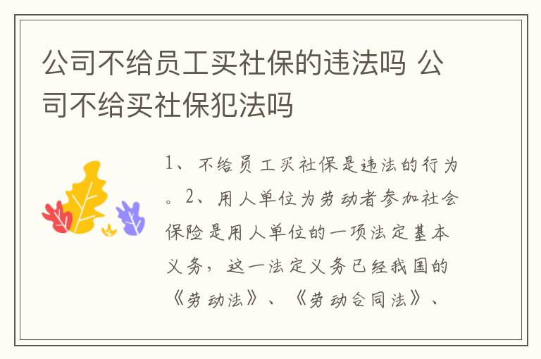 公司不给员工买社保的违法吗 公司不给买社保犯法吗