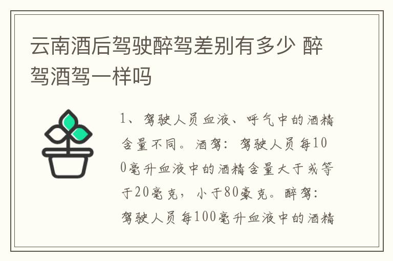 云南酒后驾驶醉驾差别有多少 醉驾酒驾一样吗