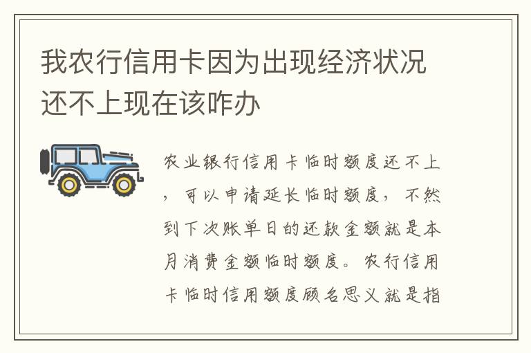 我农行信用卡因为出现经济状况还不上现在该咋办