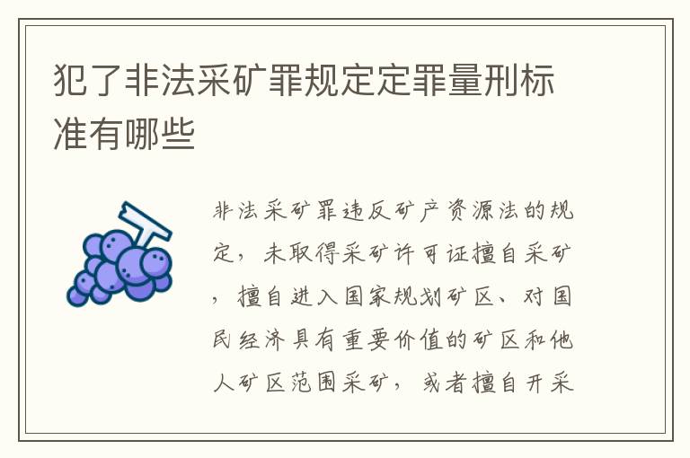 犯了非法采矿罪规定定罪量刑标准有哪些