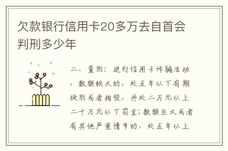 欠款银行信用卡20多万去自首会判刑多少年