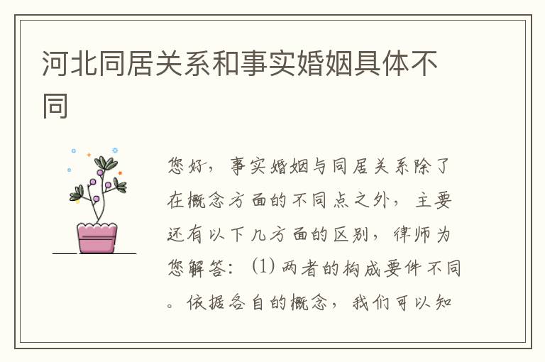 河北同居关系和事实婚姻具体不同