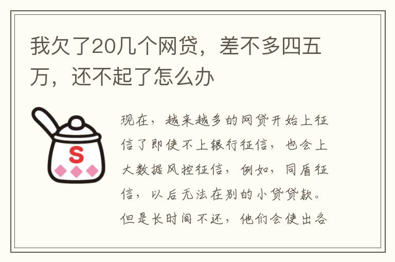 我欠了20几个网贷，差不多四五万，还不起了怎么办