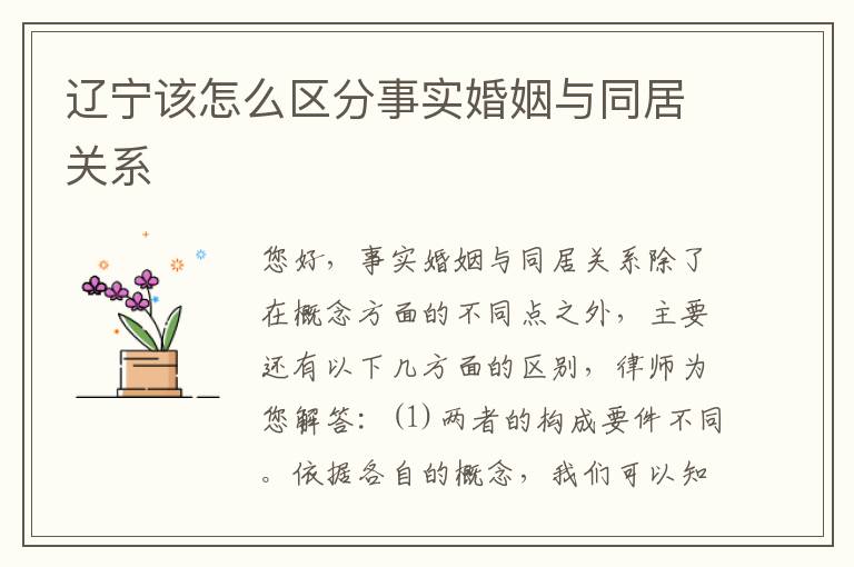 辽宁该怎么区分事实婚姻与同居关系