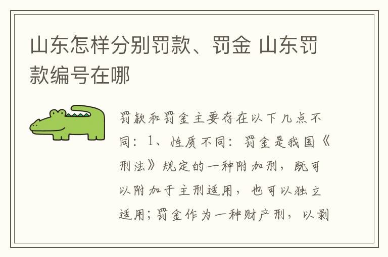 山东怎样分别罚款、罚金 山东罚款编号在哪