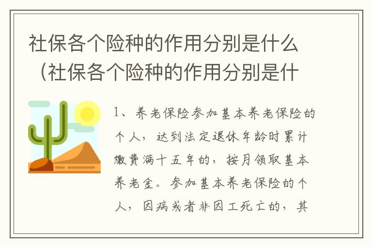 社保各个险种的作用分别是什么（社保各个险种的作用分别是什么呢）