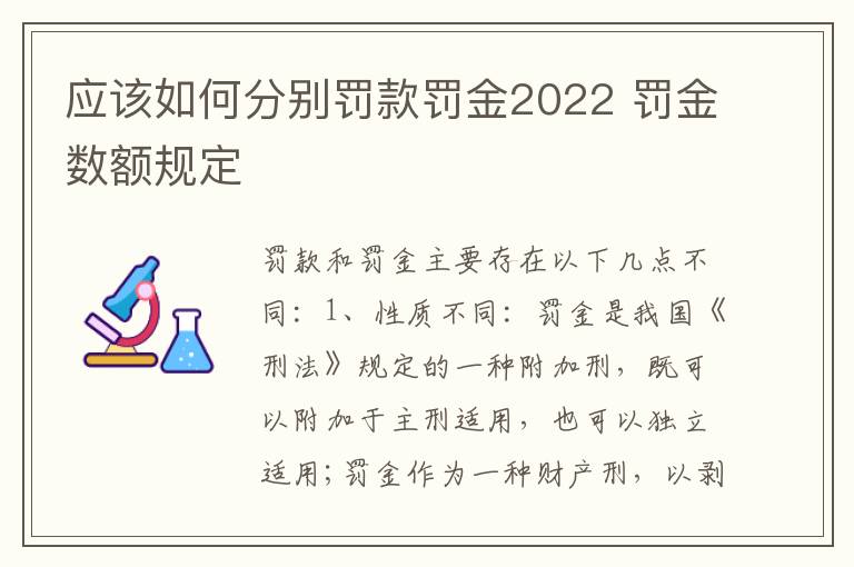 应该如何分别罚款罚金2022 罚金数额规定