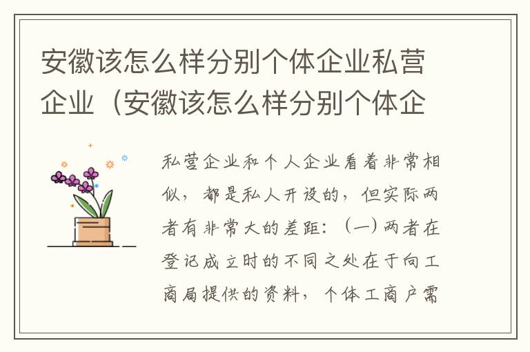 安徽该怎么样分别个体企业私营企业（安徽该怎么样分别个体企业私营企业呢）