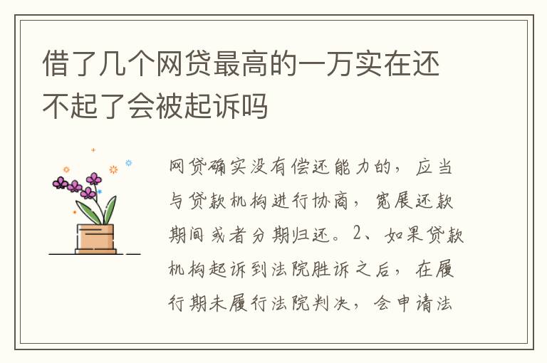 借了几个网贷最高的一万实在还不起了会被起诉吗