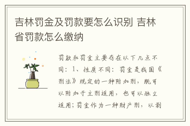 吉林罚金及罚款要怎么识别 吉林省罚款怎么缴纳