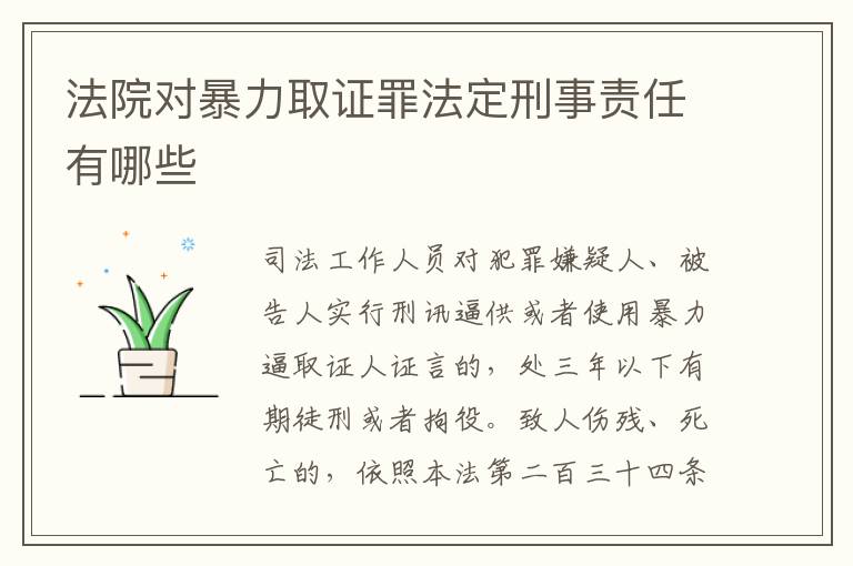 法院对暴力取证罪法定刑事责任有哪些