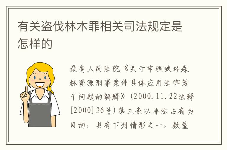 有关盗伐林木罪相关司法规定是怎样的