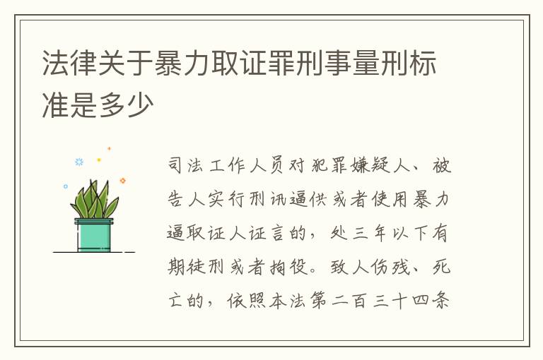 法律关于暴力取证罪刑事量刑标准是多少