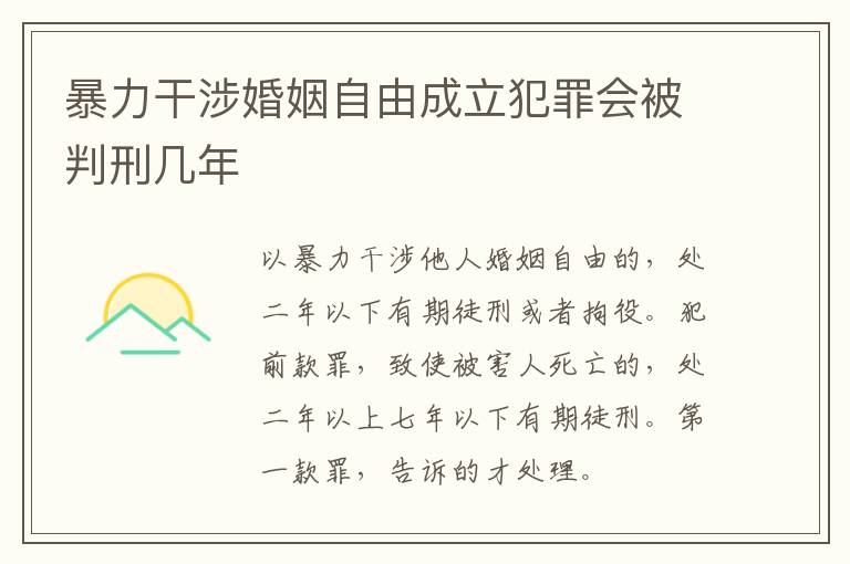 暴力干涉婚姻自由成立犯罪会被判刑几年