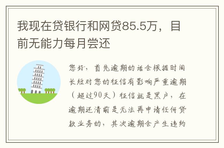 我现在贷银行和网贷85.5万，目前无能力每月尝还