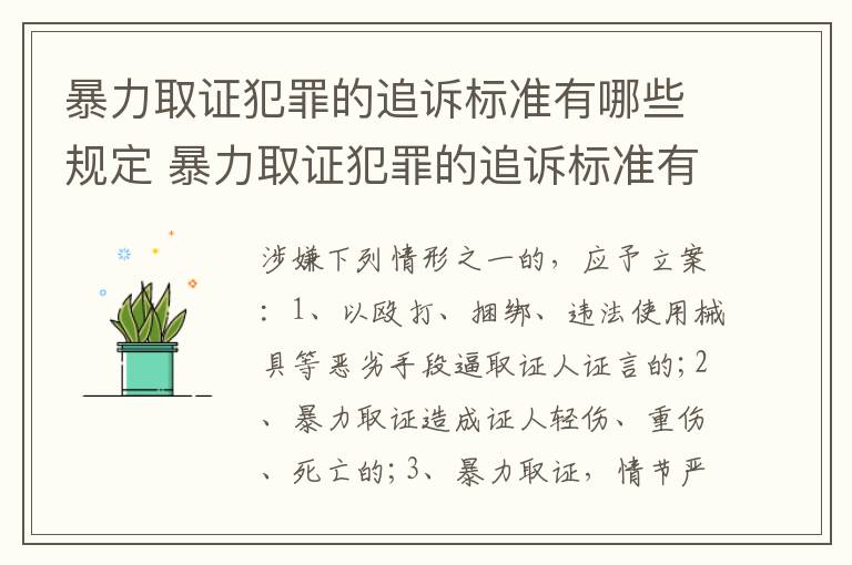 暴力取证犯罪的追诉标准有哪些规定 暴力取证犯罪的追诉标准有哪些规定呢