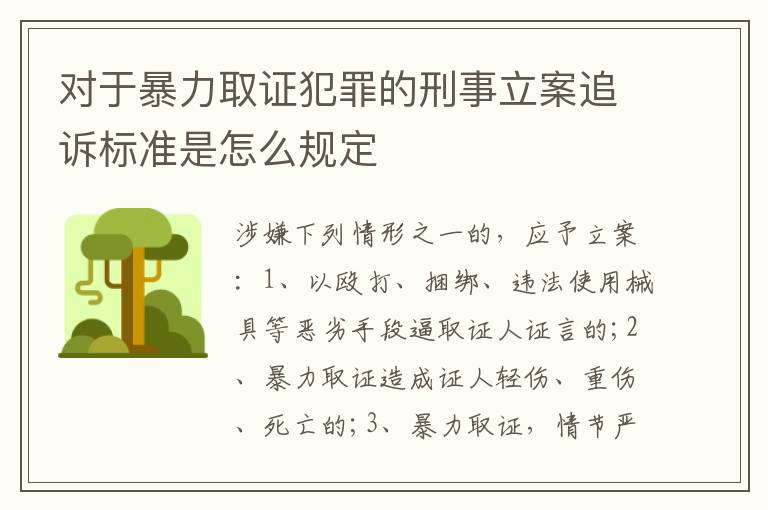 对于暴力取证犯罪的刑事立案追诉标准是怎么规定