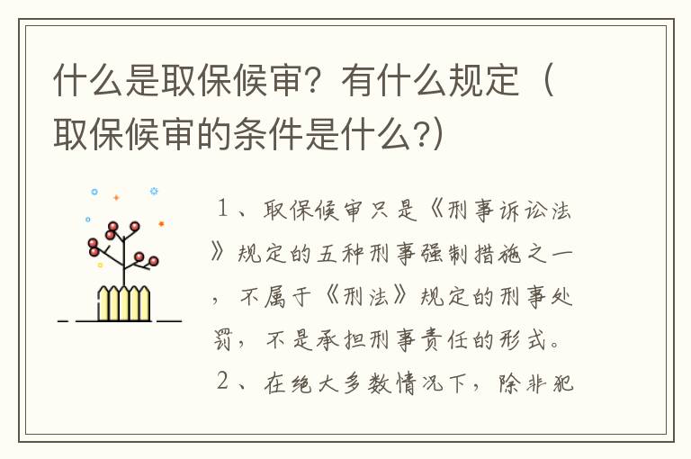 什么是取保候审？有什么规定（取保候审的条件是什么?）