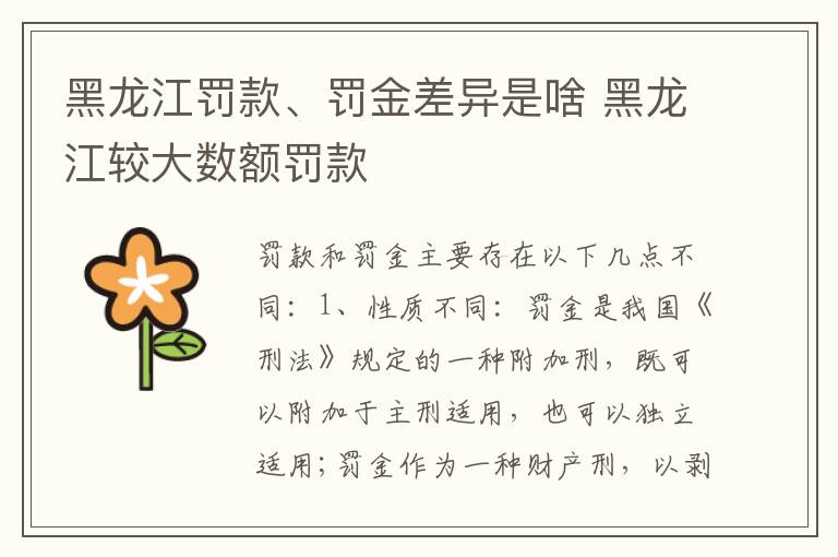 黑龙江罚款、罚金差异是啥 黑龙江较大数额罚款