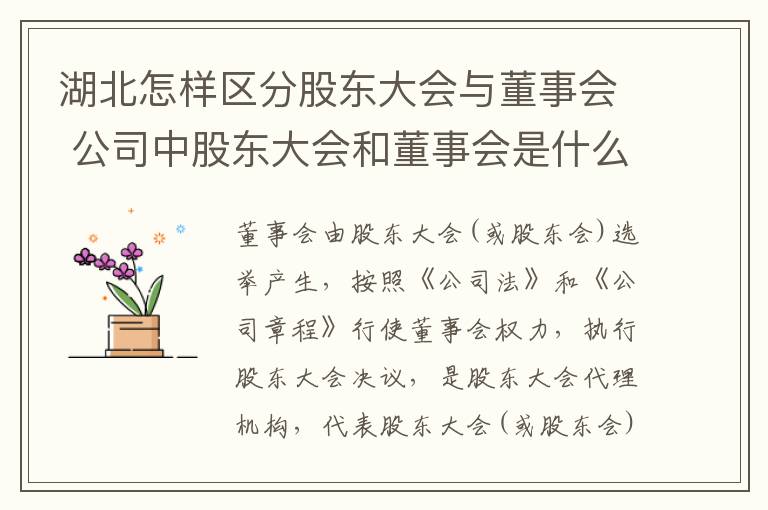 湖北怎样区分股东大会与董事会 公司中股东大会和董事会是什么关系