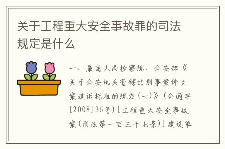 关于工程重大安全事故罪的司法规定是什么