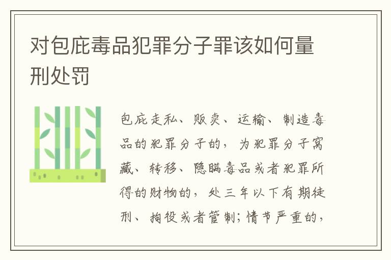 对包庇毒品犯罪分子罪该如何量刑处罚