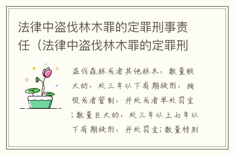 法律中盗伐林木罪的定罪刑事责任（法律中盗伐林木罪的定罪刑事责任有哪些）