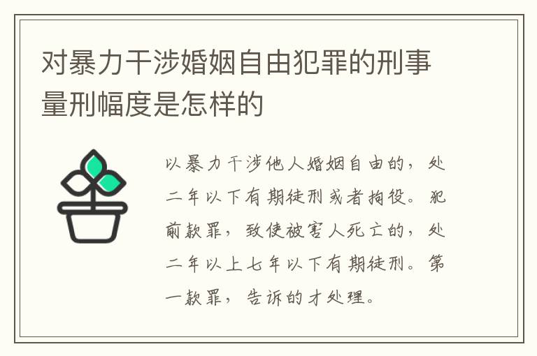 对暴力干涉婚姻自由犯罪的刑事量刑幅度是怎样的