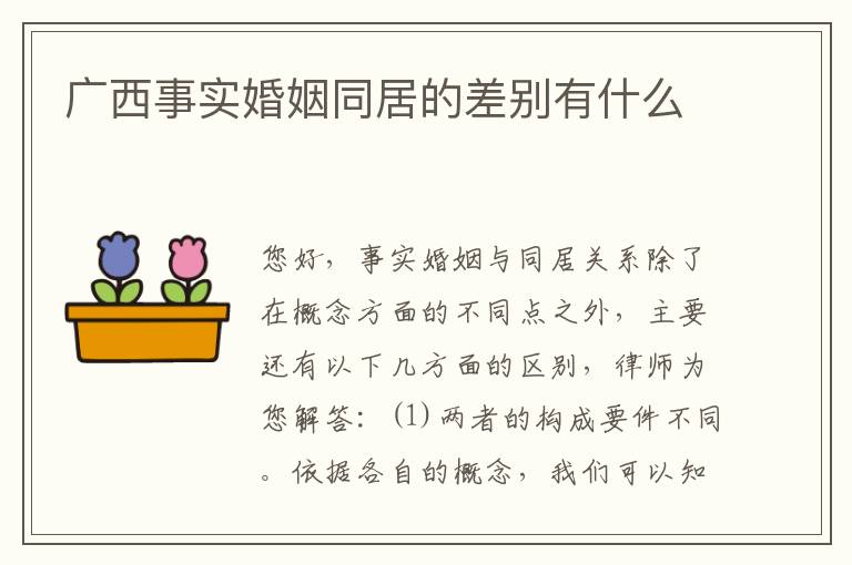 广西事实婚姻同居的差别有什么