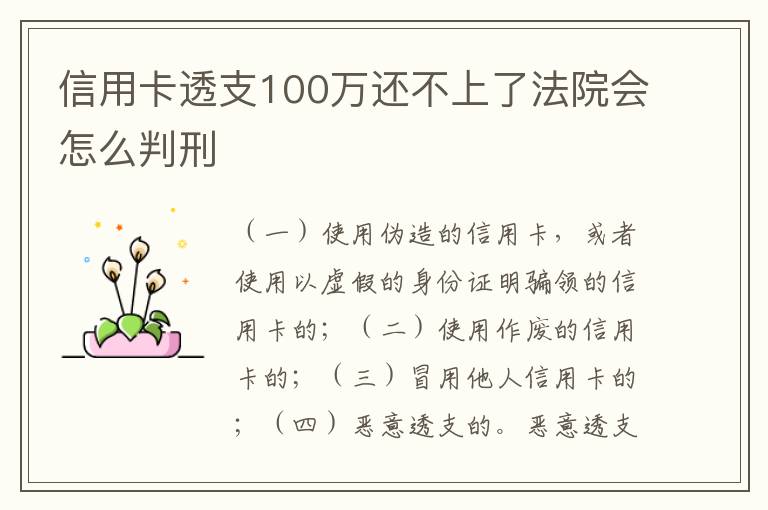 信用卡透支100万还不上了法院会怎么判刑