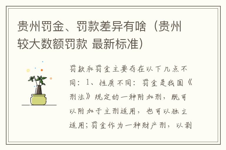 贵州罚金、罚款差异有啥（贵州较大数额罚款 最新标准）