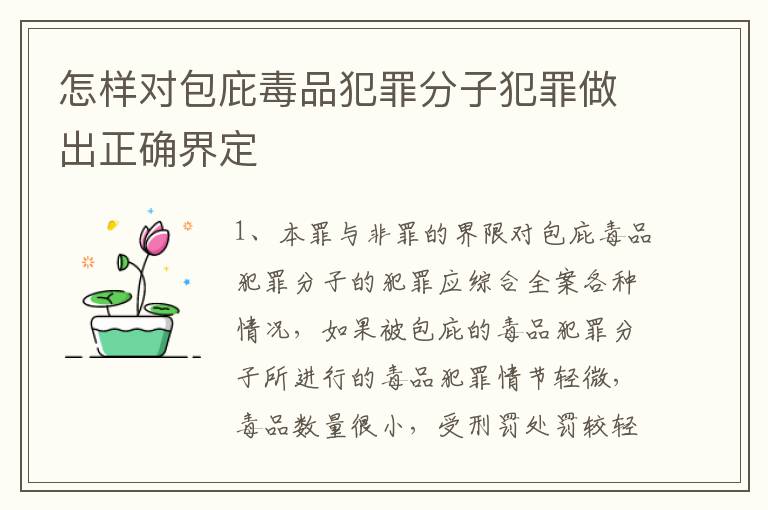 怎样对包庇毒品犯罪分子犯罪做出正确界定