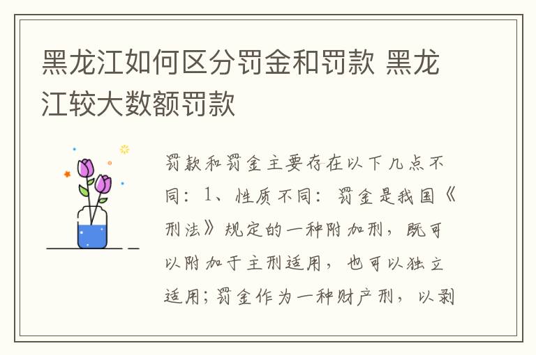 黑龙江如何区分罚金和罚款 黑龙江较大数额罚款