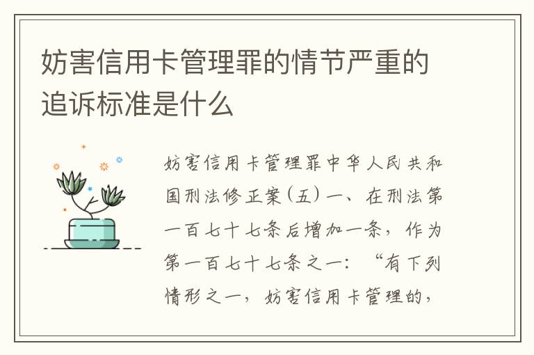 妨害信用卡管理罪的情节严重的追诉标准是什么