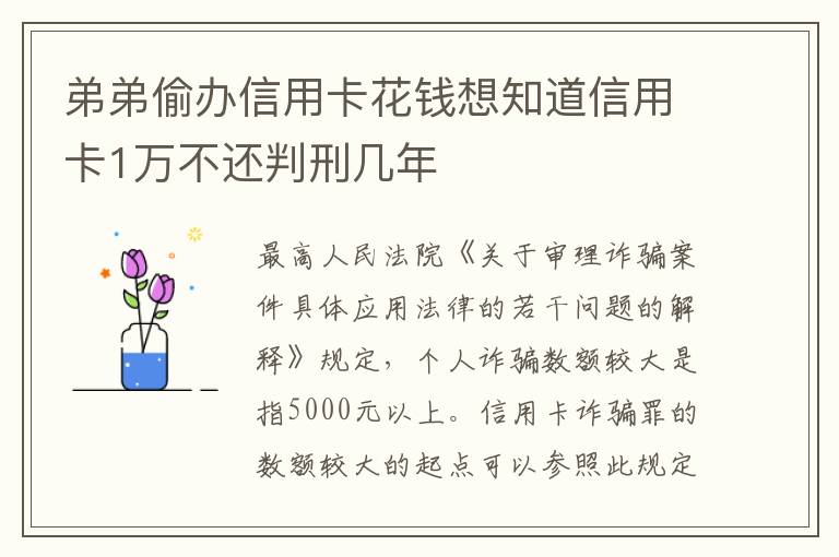 弟弟偷办信用卡花钱想知道信用卡1万不还判刑几年