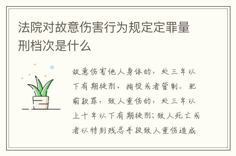 法院对故意伤害行为规定定罪量刑档次是什么