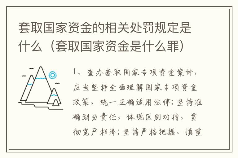 套取国家资金的相关处罚规定是什么（套取国家资金是什么罪）