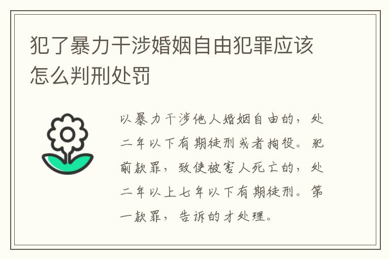 犯了暴力干涉婚姻自由犯罪应该怎么判刑处罚