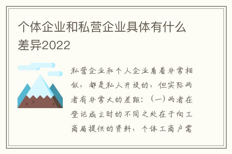 个体企业和私营企业具体有什么差异2022