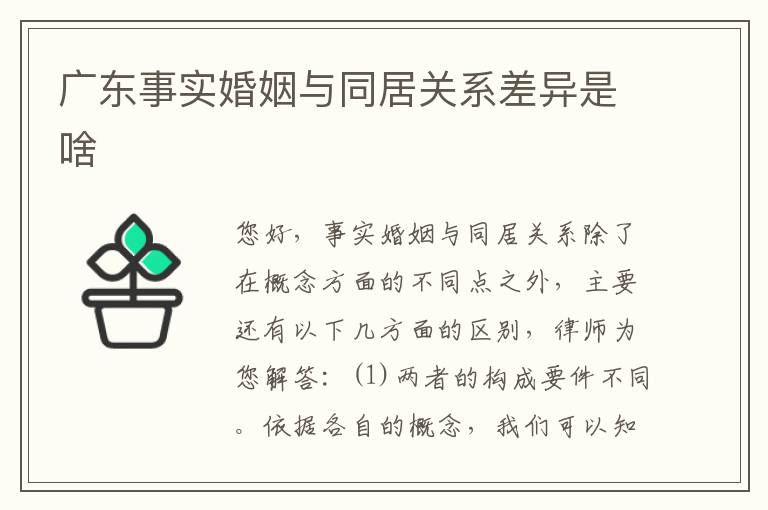 广东事实婚姻与同居关系差异是啥