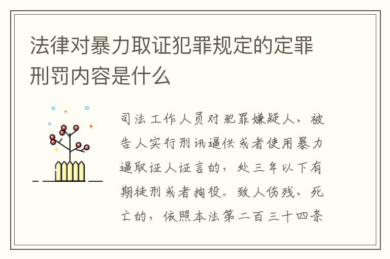 法律对暴力取证犯罪规定的定罪刑罚内容是什么