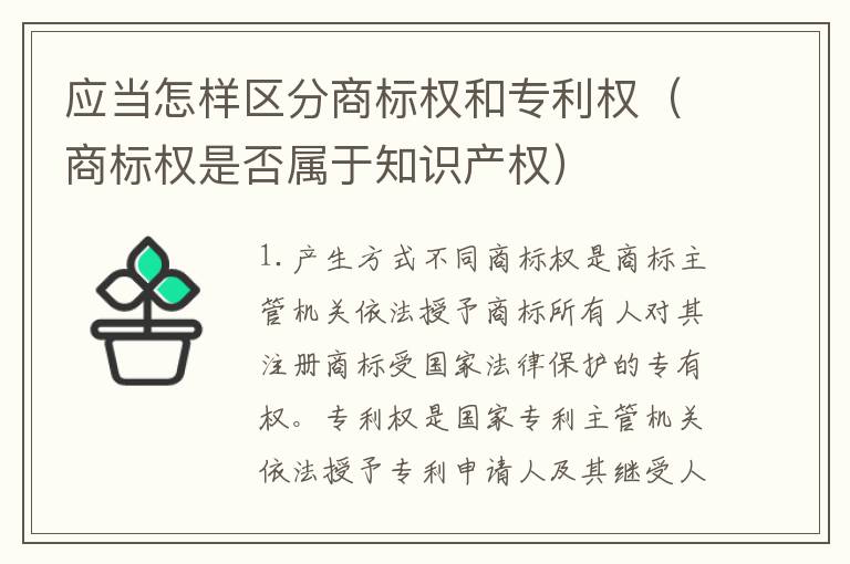 应当怎样区分商标权和专利权（商标权是否属于知识产权）