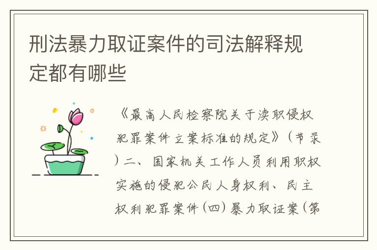 刑法暴力取证案件的司法解释规定都有哪些