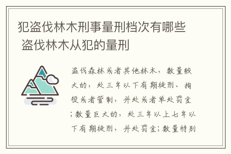 犯盗伐林木刑事量刑档次有哪些 盗伐林木从犯的量刑